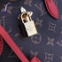 Louis Vuitton Bag 019